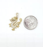 STPM-435, Men S925 Sterling Silver Icy Bling Bling Dragon Shape Pendant-Gold or Silver color